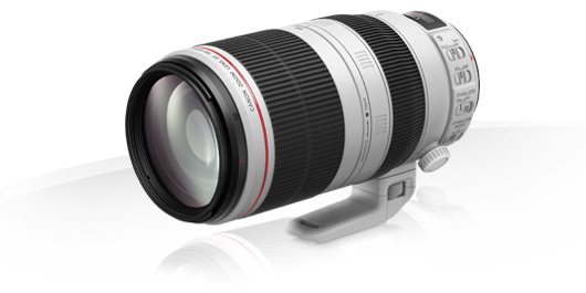 Canon EF 100-400mm f/ 4,5-5,6 L IS